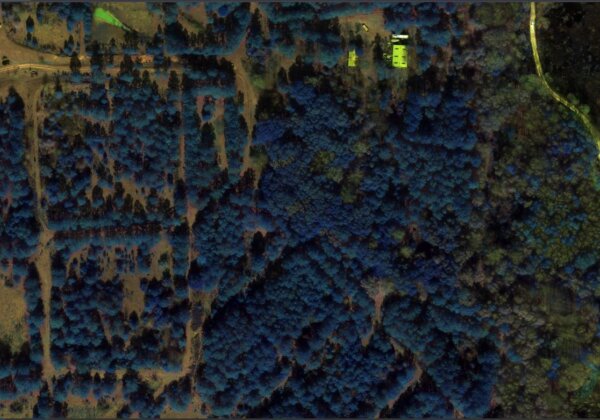 Banded Vision - Viewing the Environment through Multispectral Data - NIR