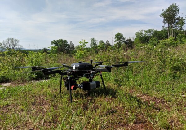 The early technology adopter gets the ROI