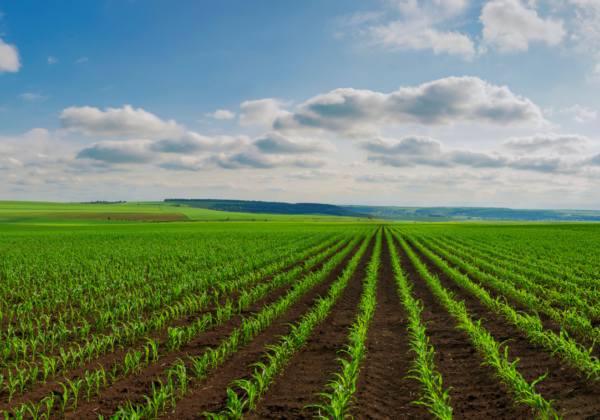 Skytec at the Forefront of Data Capture for Regenerative Agriculture Practices