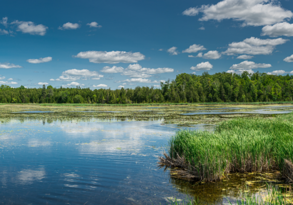Ranger Can Modernize Permit Compliance for State and Local Government Agencies