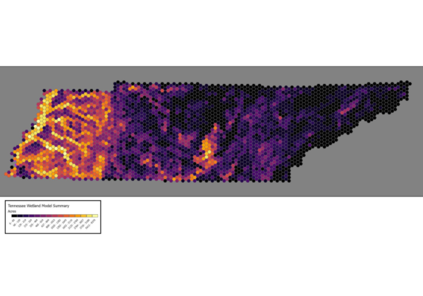 Leveraging the Latest Geospatial Technologies to Advance Wetland Identification