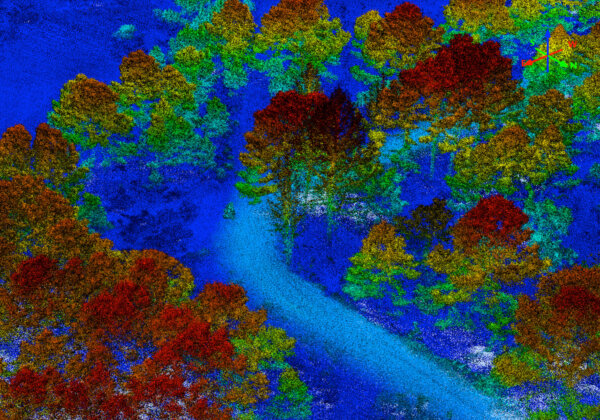 Lowest-Cost Projects Don't Yield Best-Case Data