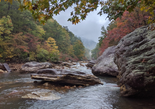 Supporting Environmental Stewardship with International Paper